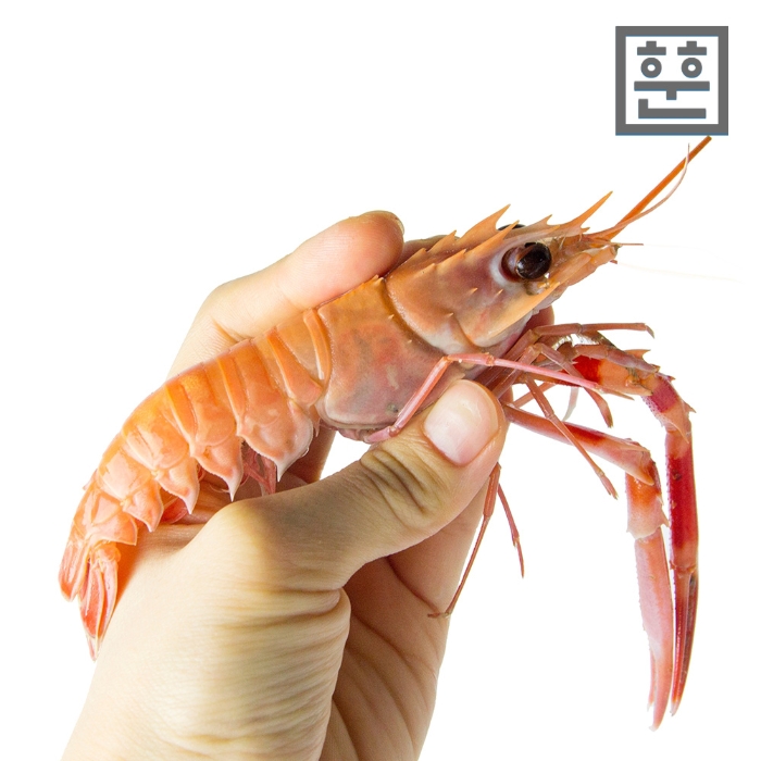 재하수산 이미지