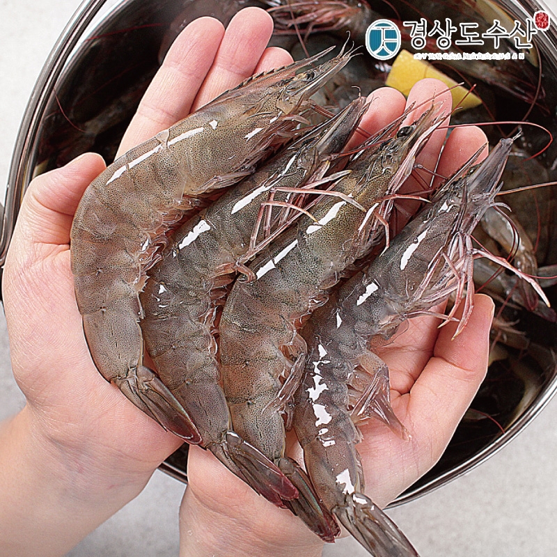 상품사진